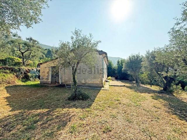 Rustico in vendita a Tonfano, Toscana