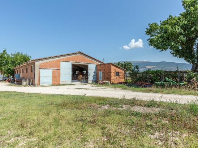 Rustico in vendita a Spello, Umbria