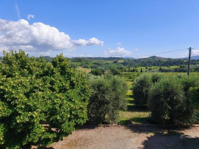 Rustico in vendita a Terricciola, Toscana