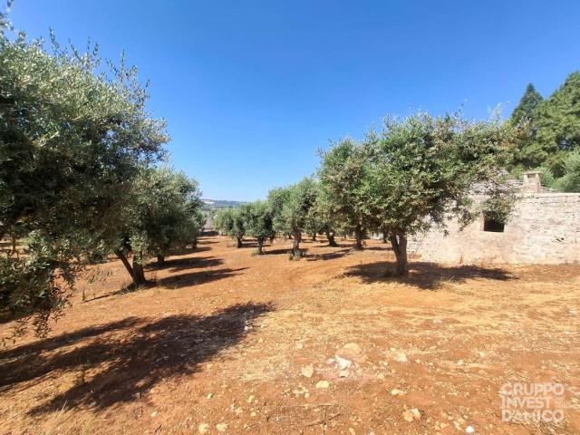 Rustico in vendita a Puglia, Brindisi