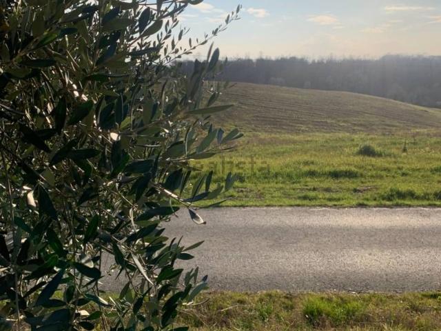 Rustico in vendita a Unione dei Comuni Circondario dell'Empolese Valdelsa, Vinci