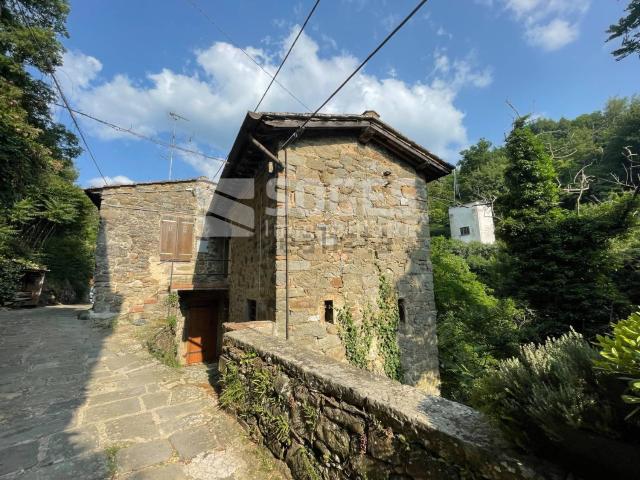 Rustico in vendita a Unione di Comuni Valdarno e Valdisieve, Pelago