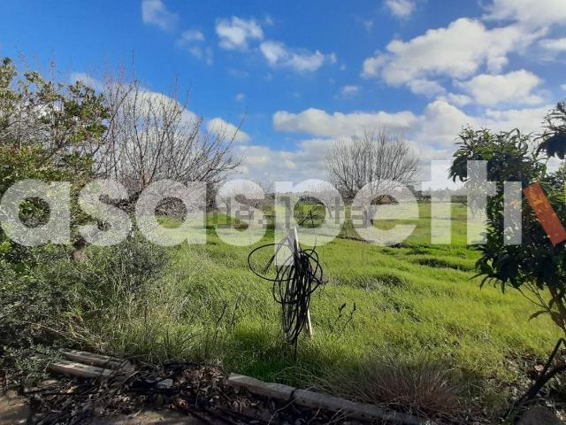 Rustico in vendita a Puglia, Lecce