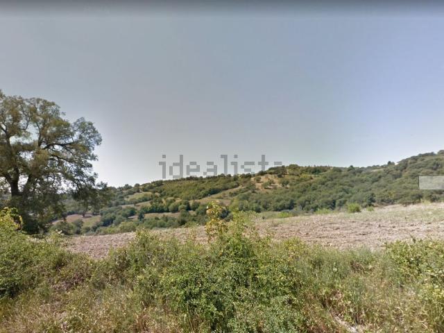 Rustico in vendita a centro A, Capalbio