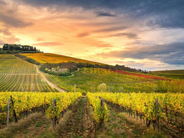 Rustico in vendita a Unione dei Comuni Circondario dell'Empolese Valdelsa, Montespertoli
