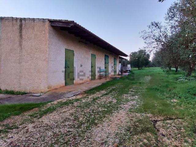 Rustico in vendita a Partanna, Sicilia