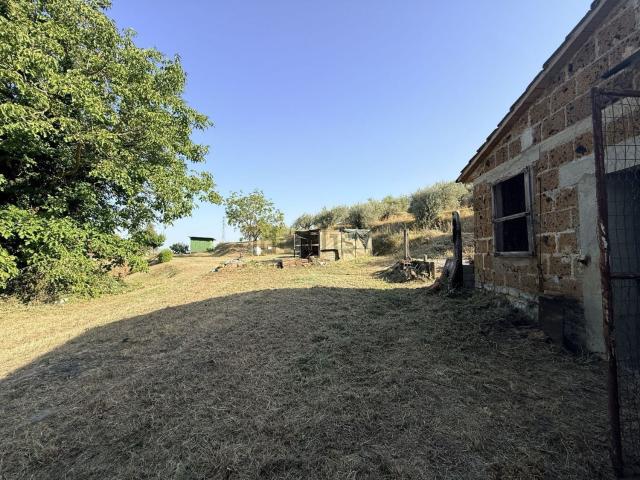 Rustico in vendita a Monteleone d'Orvieto, Terni