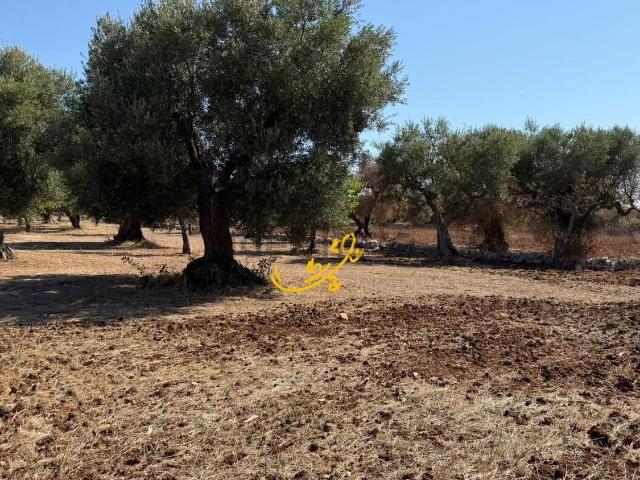 Rustico in vendita a Puglia, Bari