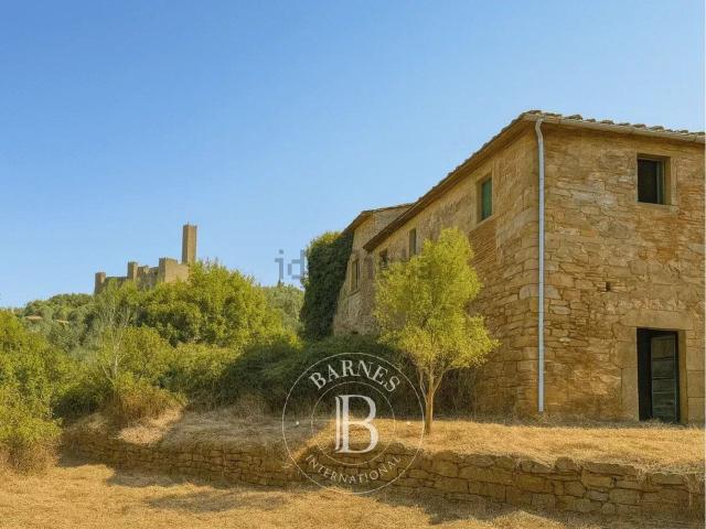 Rustico in vendita a Montecchio Vesponi, Castiglion Fiorentino
