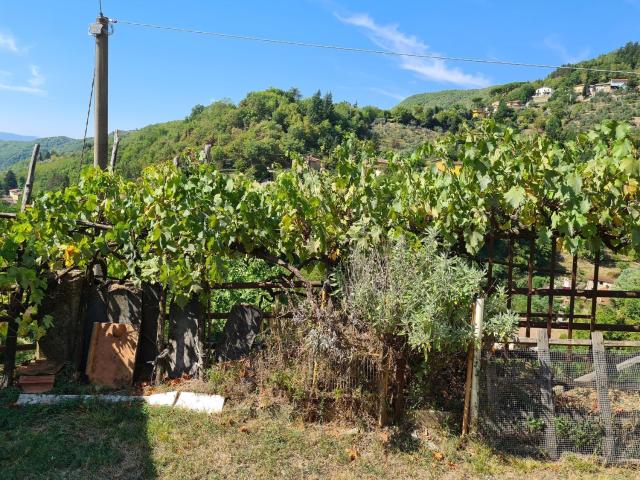 Rustico in vendita a Vicchio, Toscana