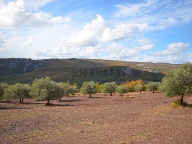 Rustico in vendita a Unione dei Comuni Montani Amiata Grossetana, Roccalbegna