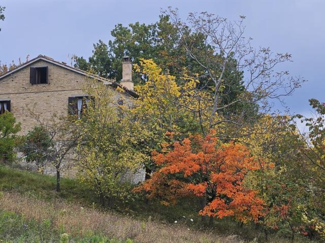 Casa in vendita a Marche, Ascoli Piceno