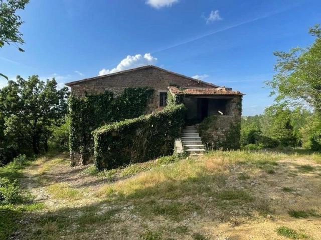 Casa in vendita a San Venanzo, Umbria