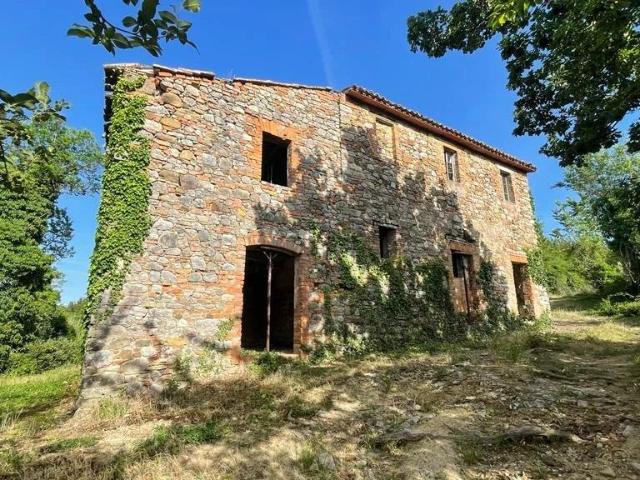 Casa in vendita a San Venanzo, Umbria