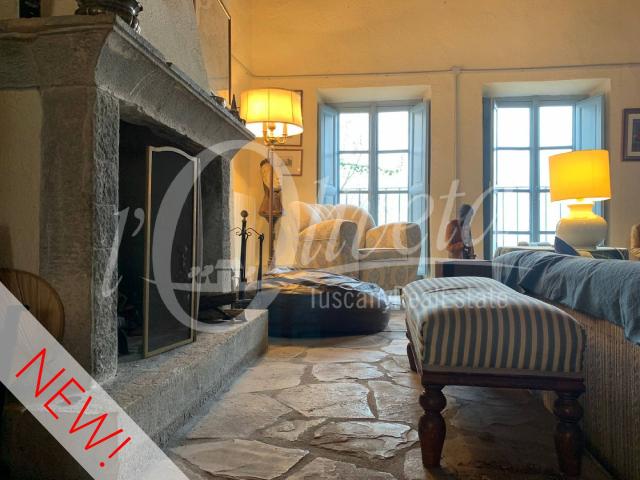Villa Indipendente in vendita a Unione dei comuni Media Valle del Serchio, Coreglia Antelminelli