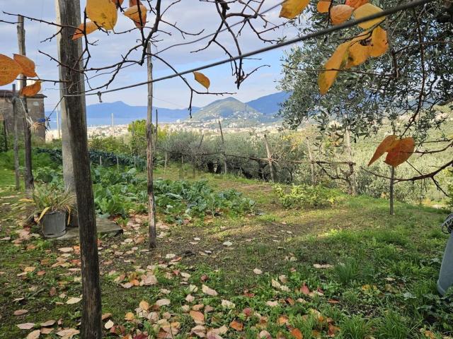 Rustico in vendita a Lavagna, Liguria