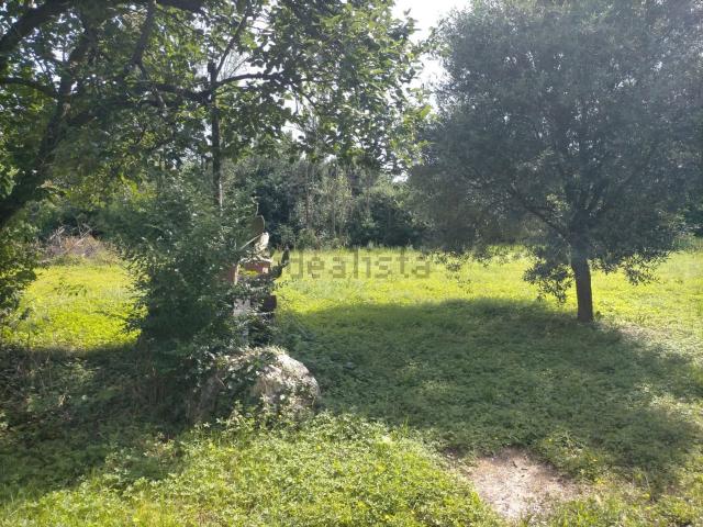Rustico in vendita a Mirano, Veneto