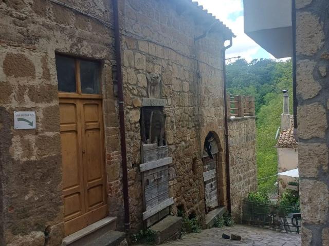 Rustico in vendita a Piansano, Lazio