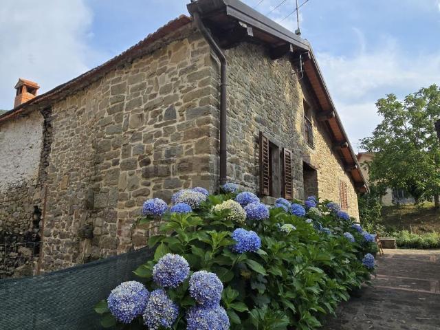 Rustico in vendita a Castel San Niccolò, Toscana