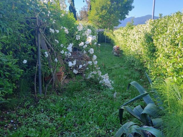 Rustico in vendita a Santa Margherita, Capannori