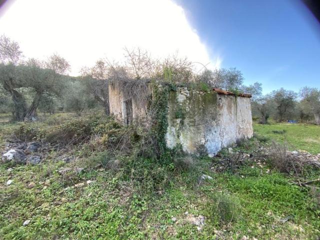 Rustico in vendita a Puglia, Foggia