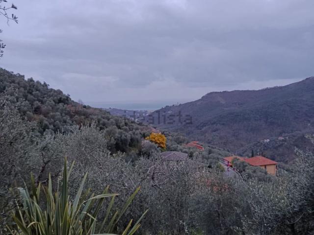 Rustico in vendita a Leivi, Liguria