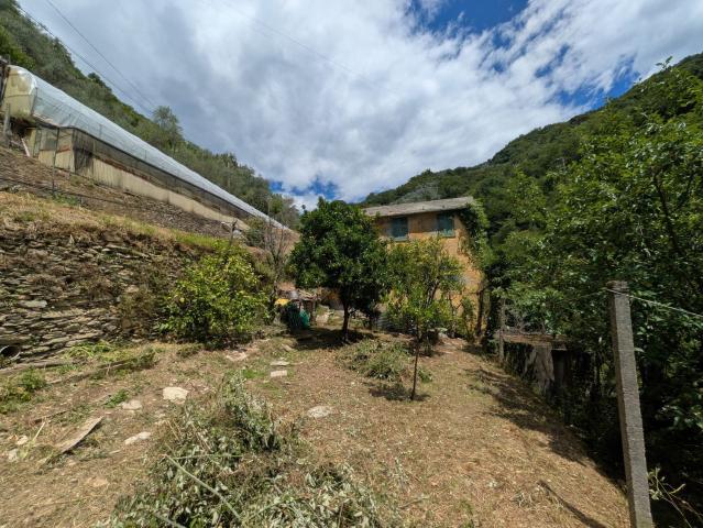Rustico in vendita a Sori, Liguria