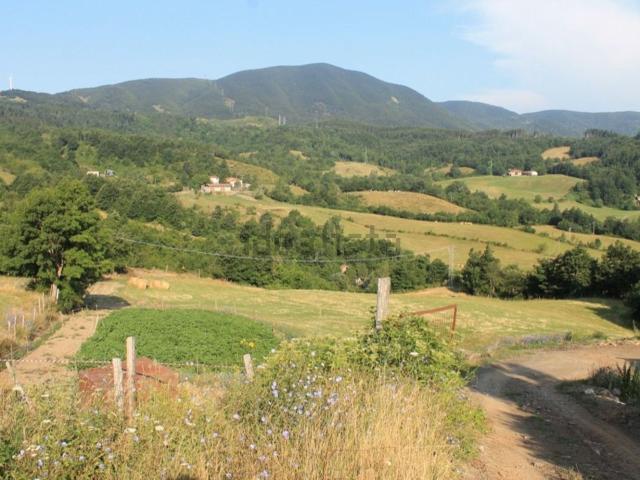 Rustico in vendita a Albareto, Reggio Emilia