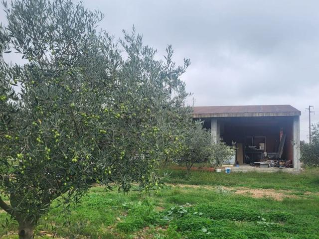Rustico in vendita a Uta, Sardigna/Sardegna