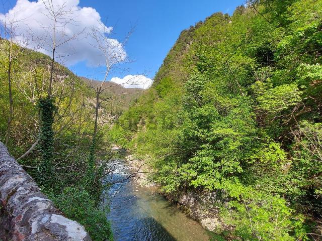 Rustico in vendita a Unione dei comuni Media Valle del Serchio, Vico Pancellorum