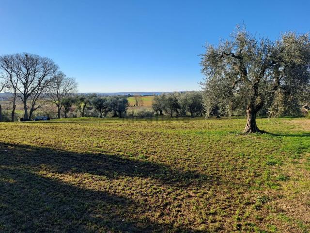 Rustico in vendita a Bardolino, Veneto