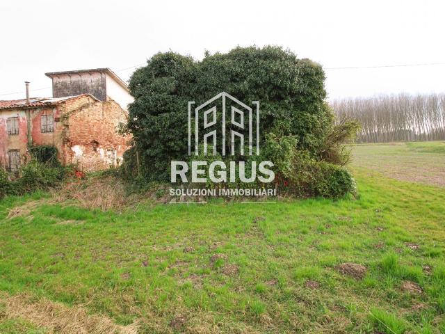 Rustico in vendita a Trebaseleghe, Veneto