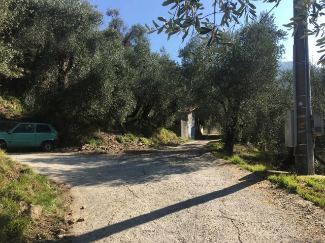 Rustico in vendita a Apricale, Liguria