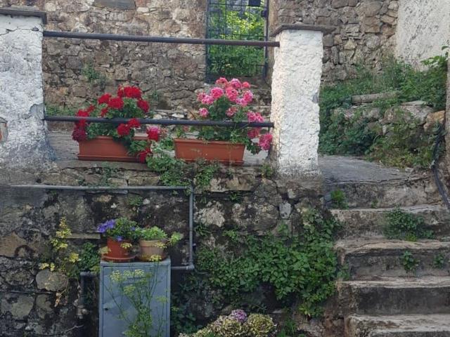 Rustico in vendita a Maissana, Liguria