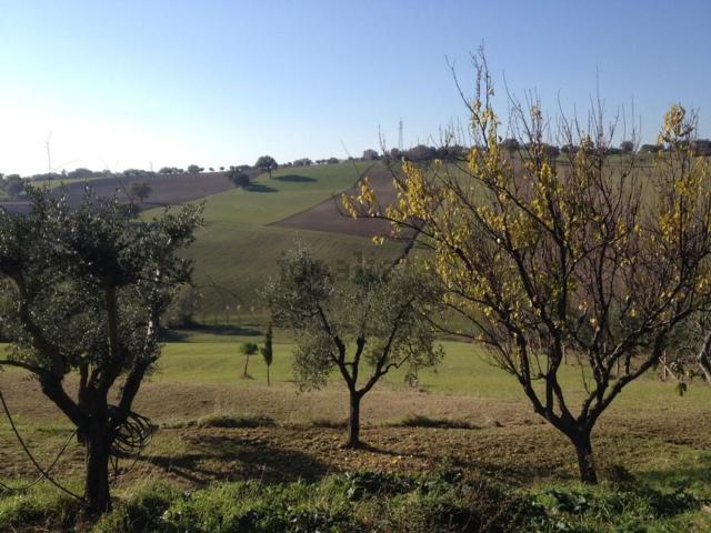 Rustico in vendita a Marche, Macerata