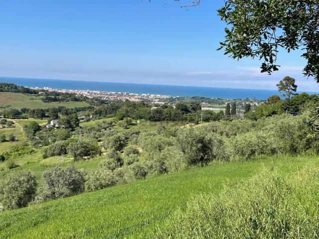 Rustico in vendita a Sant'Angelo, Marche