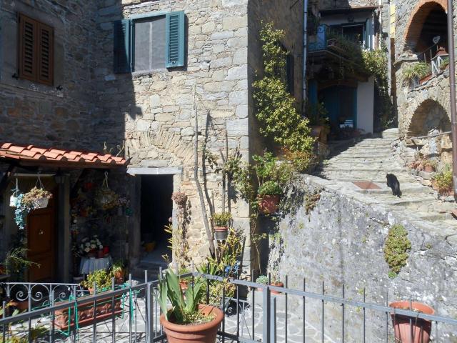 Rustico in vendita a Unione dei comuni Media Valle del Serchio, Ponte A Serraglio