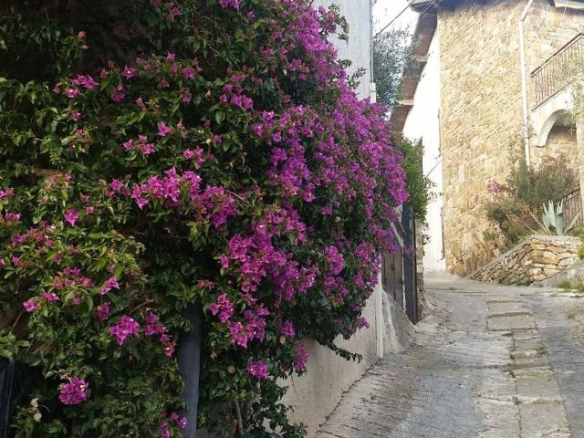 Rustico in vendita a Moiano, Cipressa