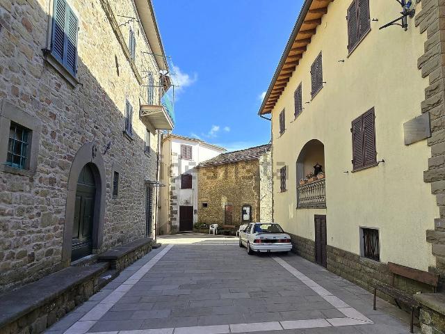 Rustico in vendita a Unione dei comuni Media Valle del Serchio, Casabasciana