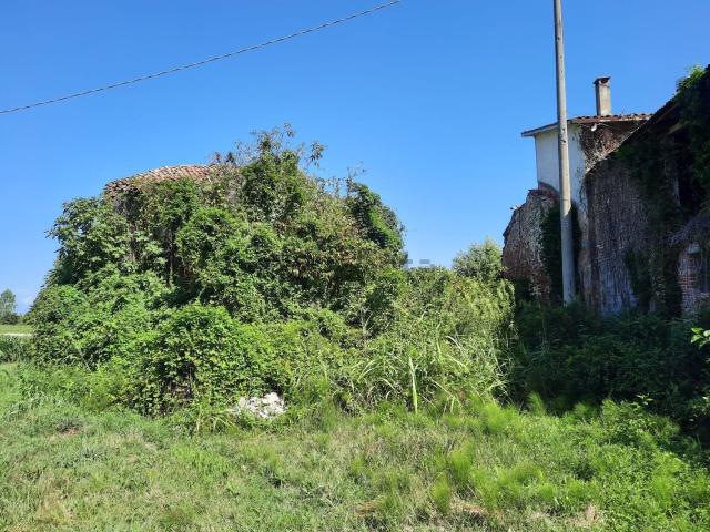 Rustico in vendita a Trebaseleghe, Padova
