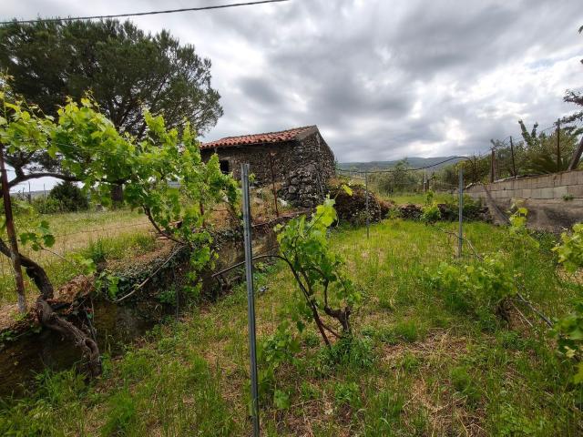 Rustico in vendita a Piedimonte Etneo, Sicilia