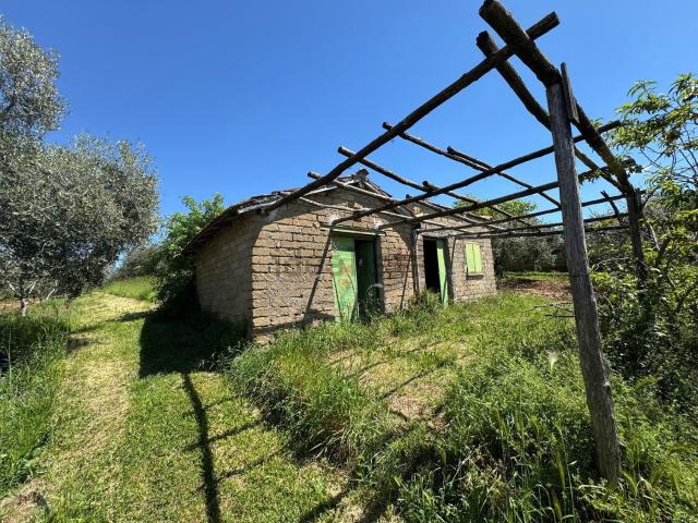 Rustico in vendita a Municipio Roma VI, Roma Capitale