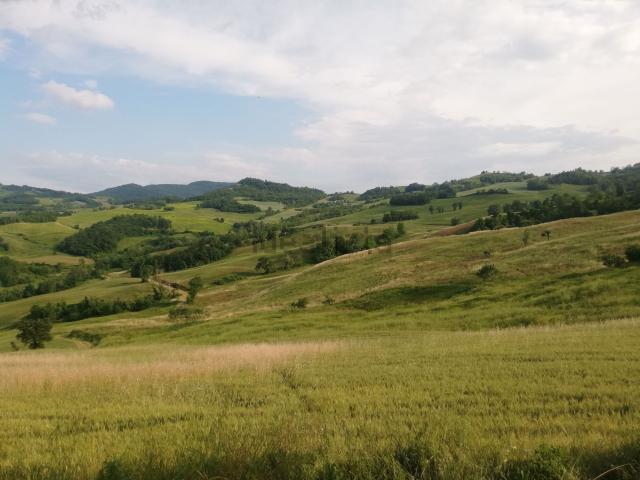 Rustico in vendita a Nibbiano, Reggio Emilia