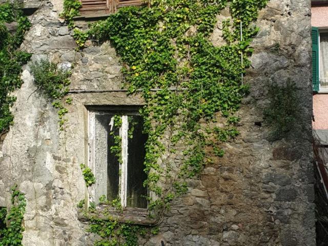 Rustico in vendita a Mezzanego, Liguria