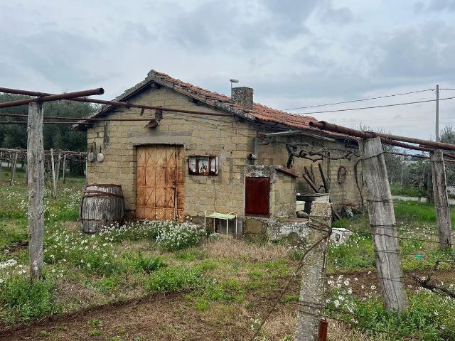 Rustico in vendita a Roma Capitale, Lazio
