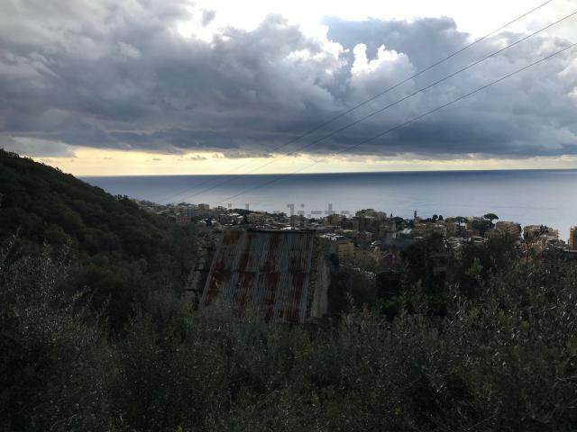 Rustico in vendita a Levante, Serra Riccò