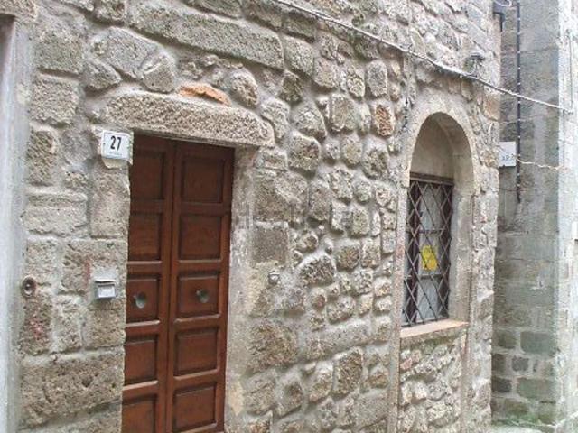 Rustico in vendita a Unione dei Comuni Montani Amiata Grossetana, Santa Fiora