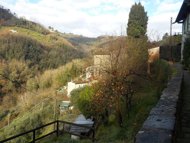 Rustico in vendita a San Lorenzo a Cerreto, Uzzano E Castello