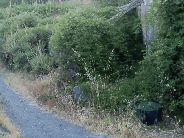 Rustico in vendita a Santa Venera, Mascali