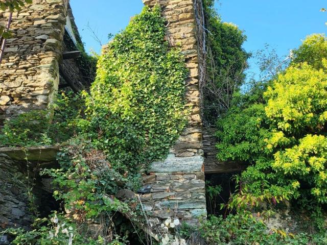 Rustico in vendita a Varazze, Liguria